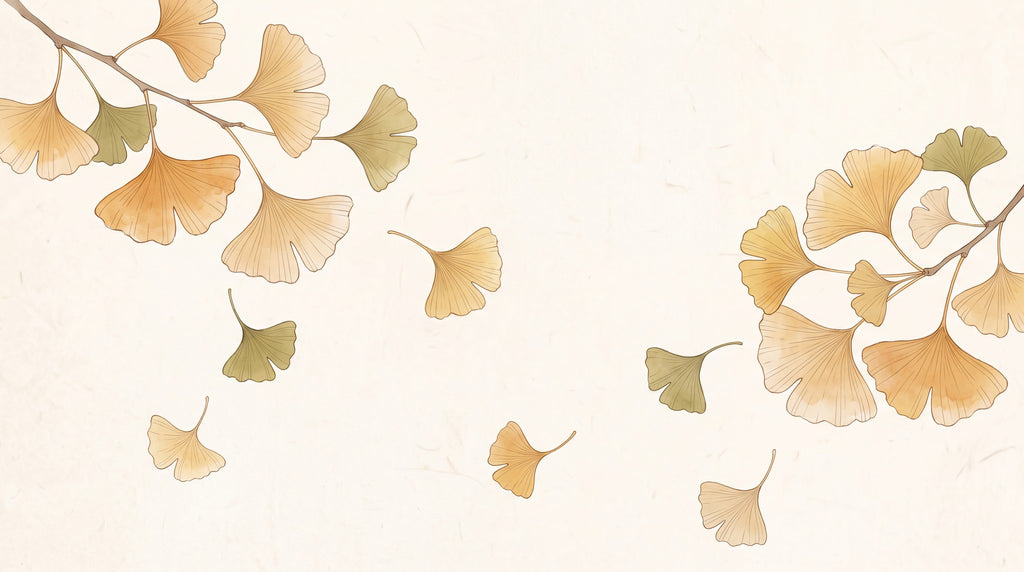 Dessin entier du panoramique Ginkgo