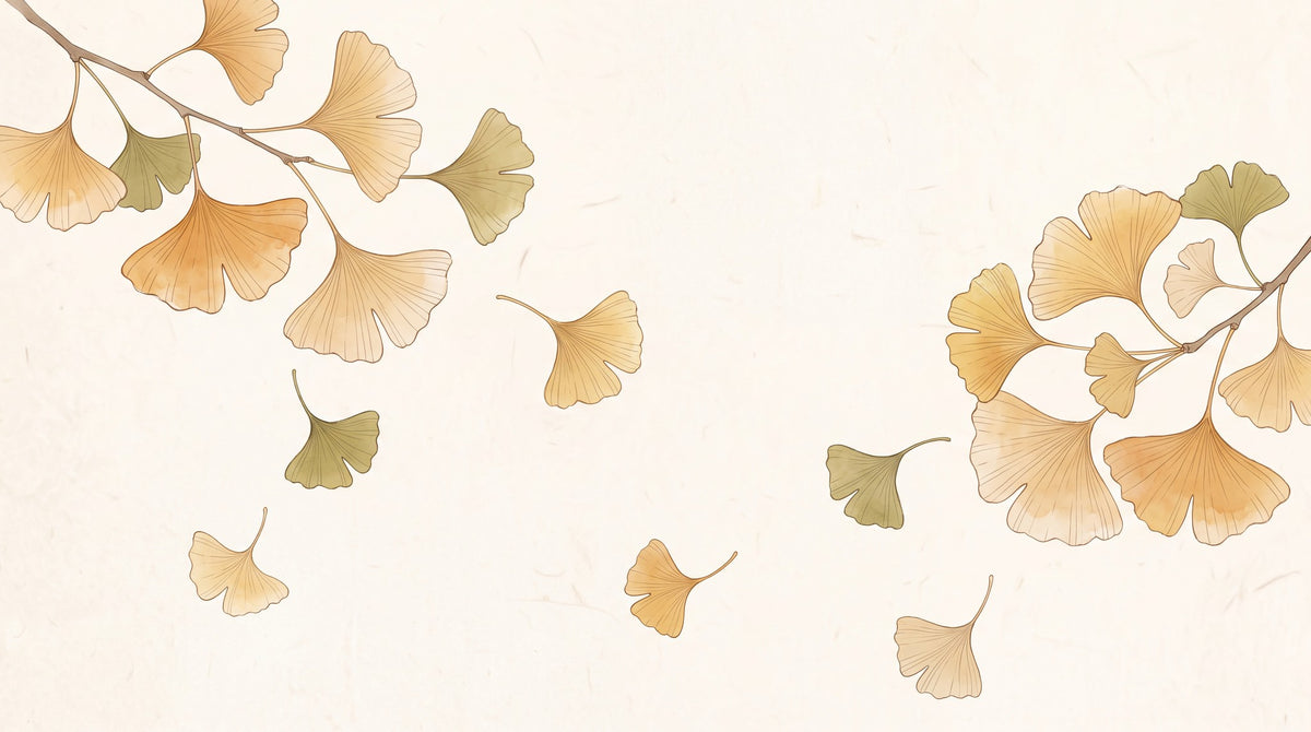 Dessin entier du panoramique Ginkgo