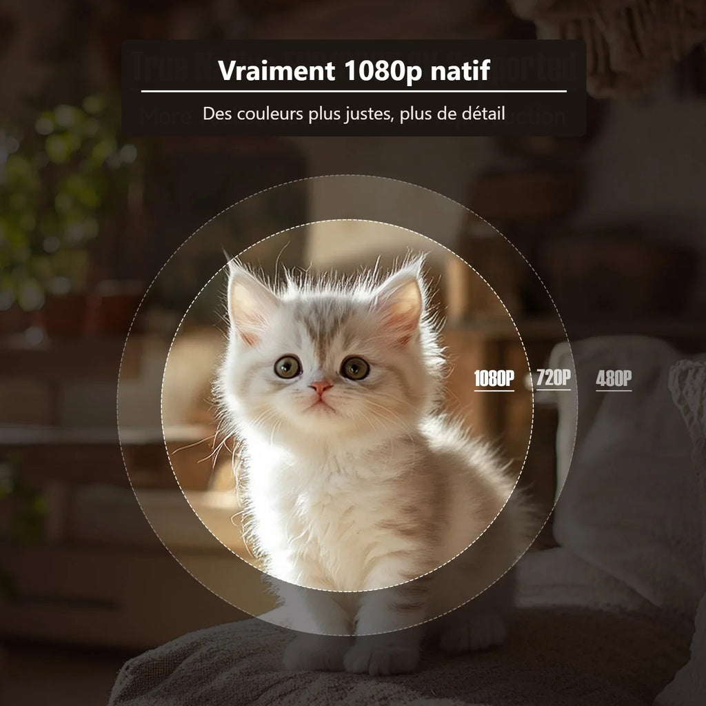 Comparaison de définition entre 1080p, 720p et 480p