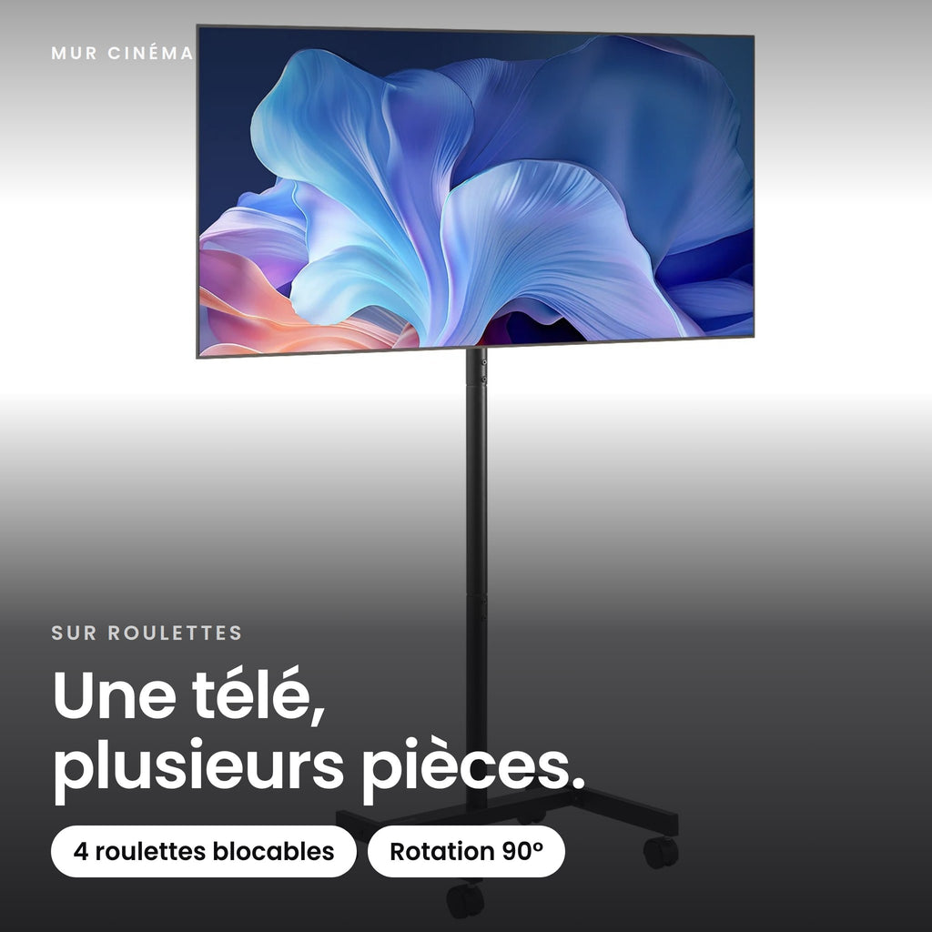 Visuel Mur Cinéma : Une télé, plusieurs pièces