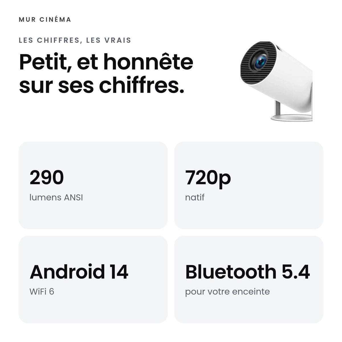 Visuel Mur Cinéma : Petit, et honnête sur ses chiffres