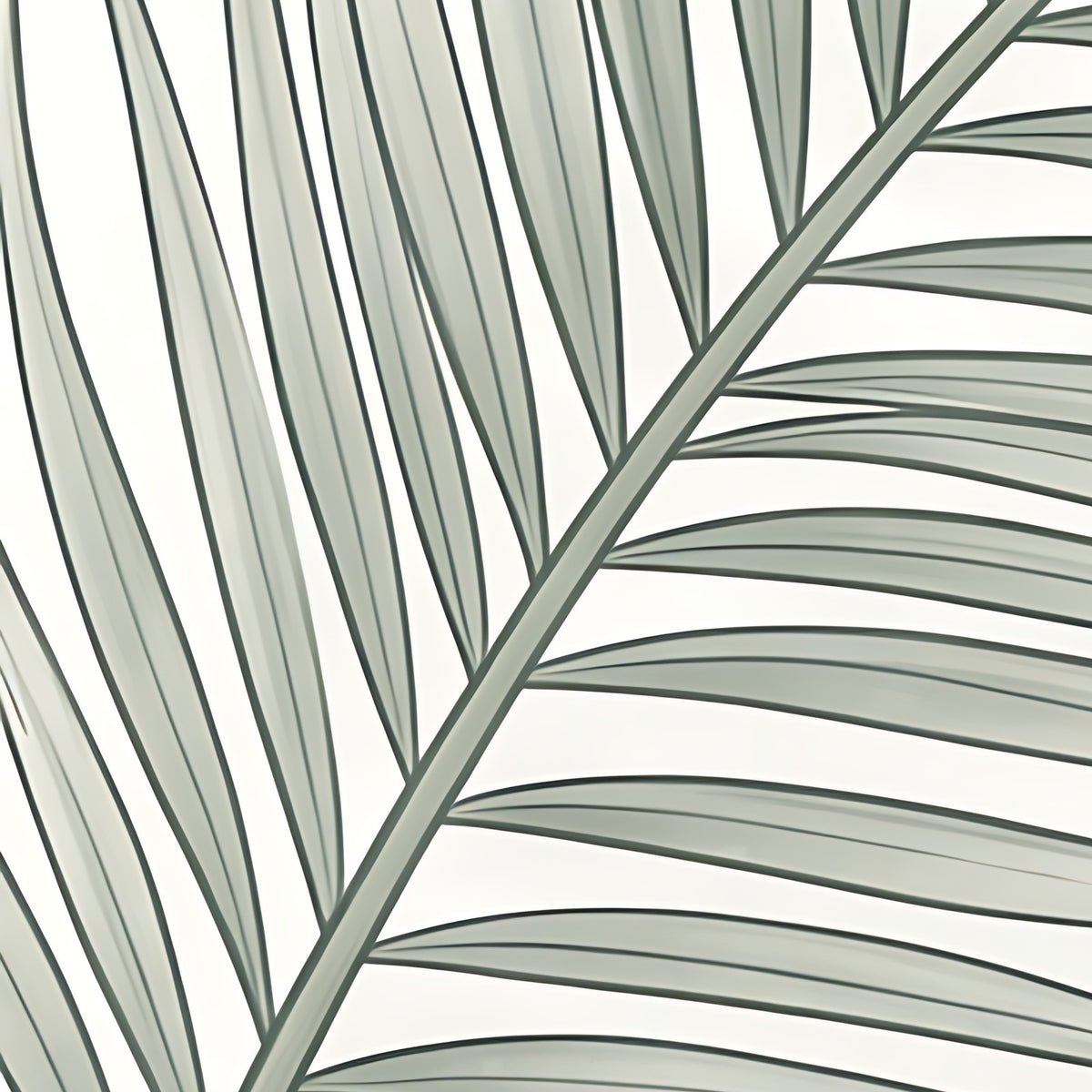 Détail du papier peint Palmes épurées, 40 cm de large